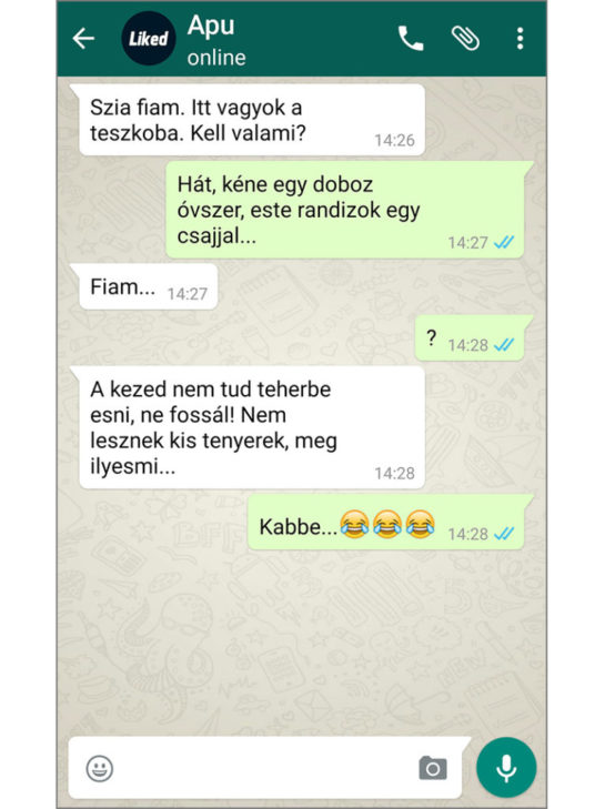 14 Vicces Sms Apukákkal Amit Nem Lehet Kibírni Nevetés Nélkül Nemkutya 1505